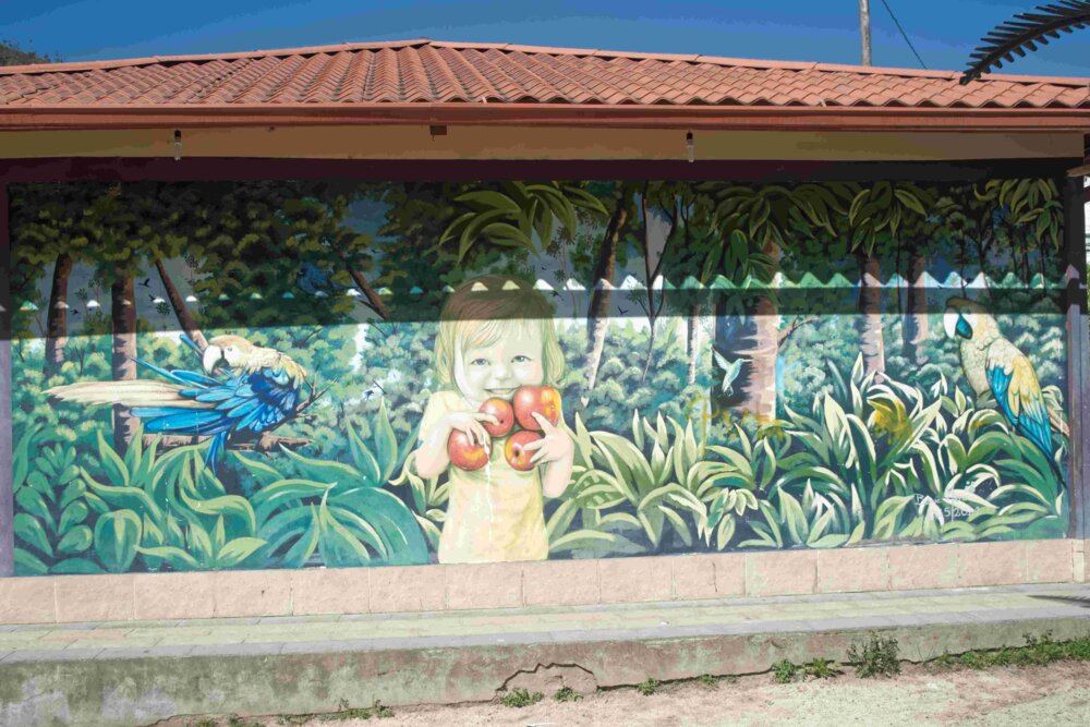 Illustration 8