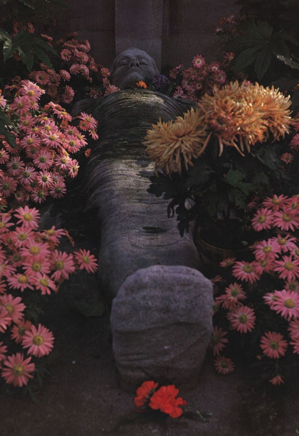 Illustration 112