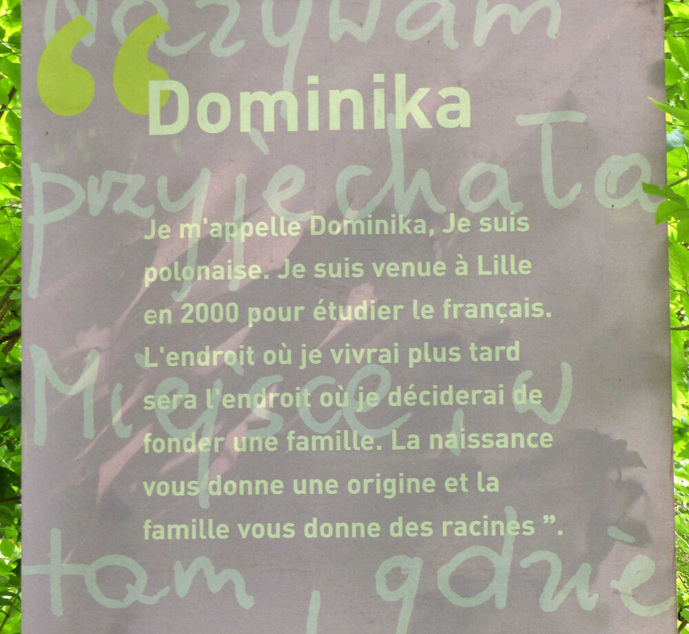 Illustration 11
