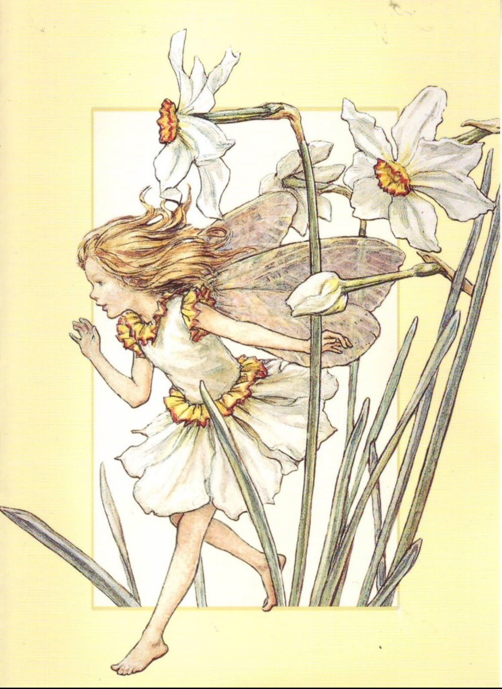 Illustration 7