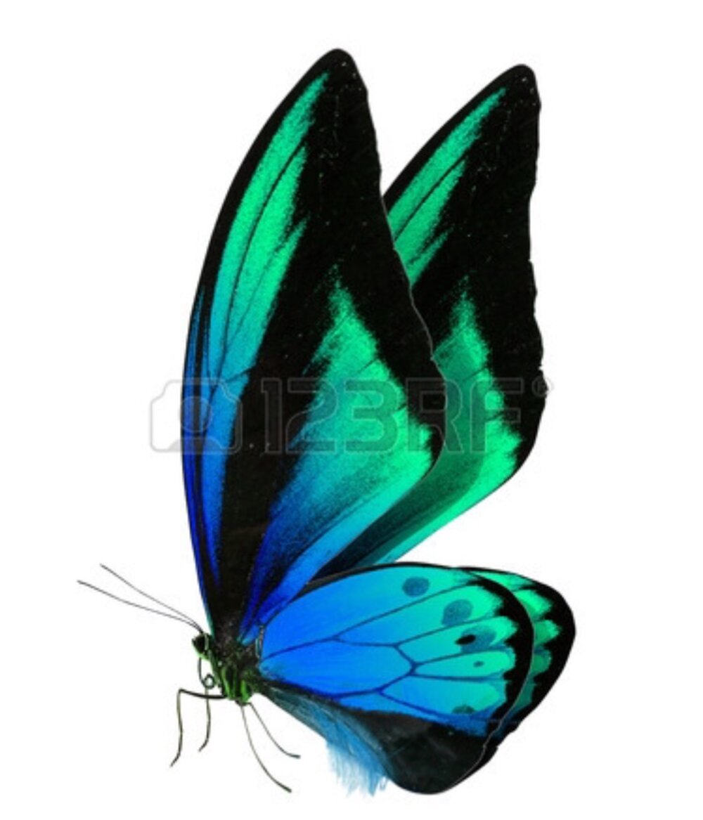 Illustration 5