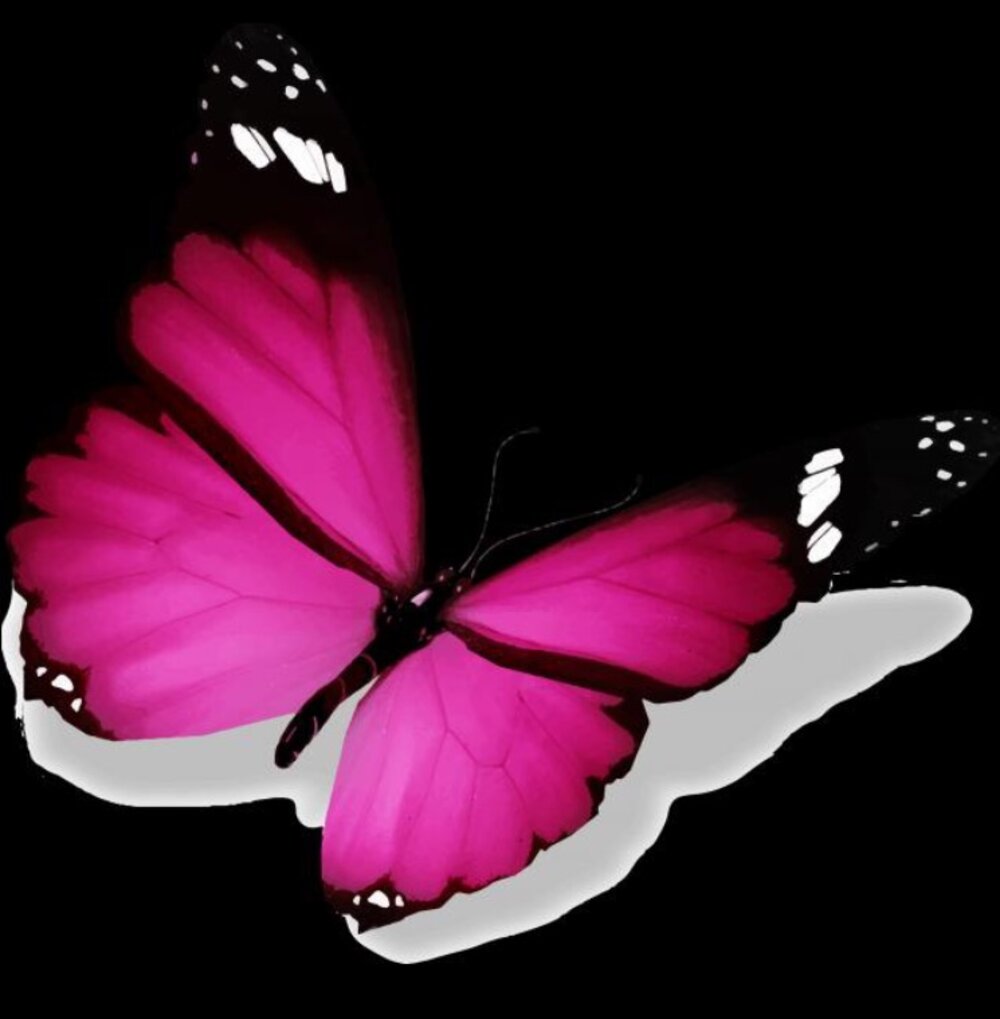 Illustration 10
