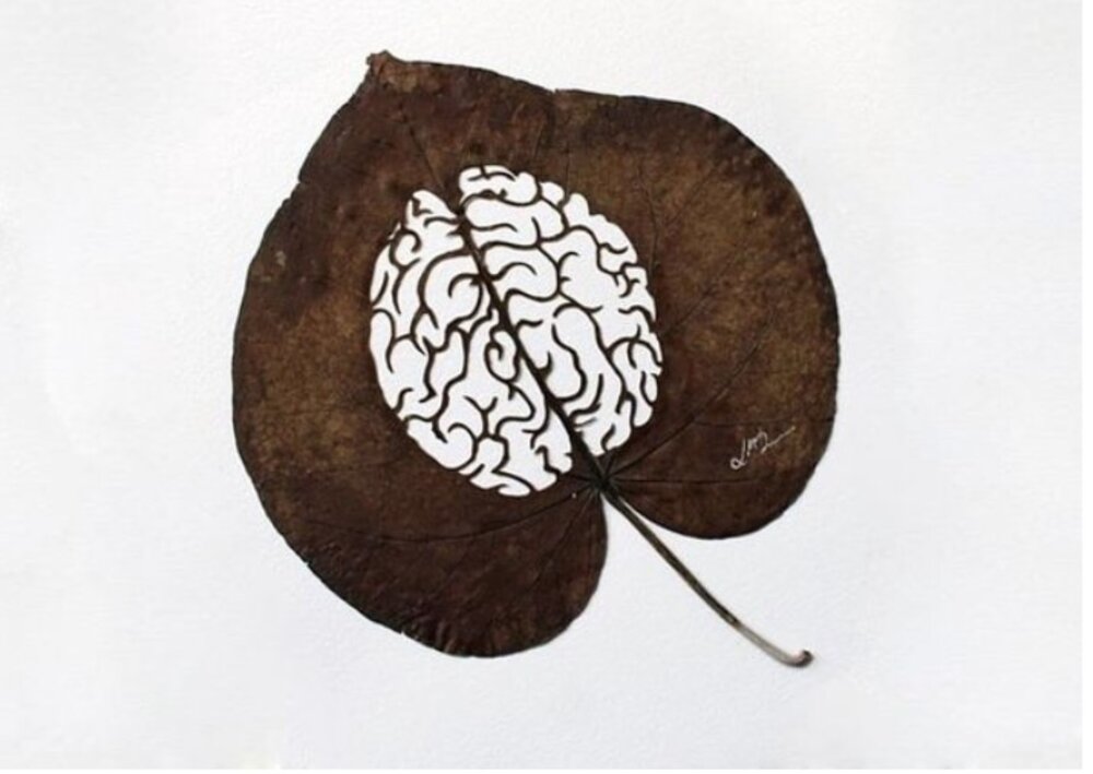 Illustration 5