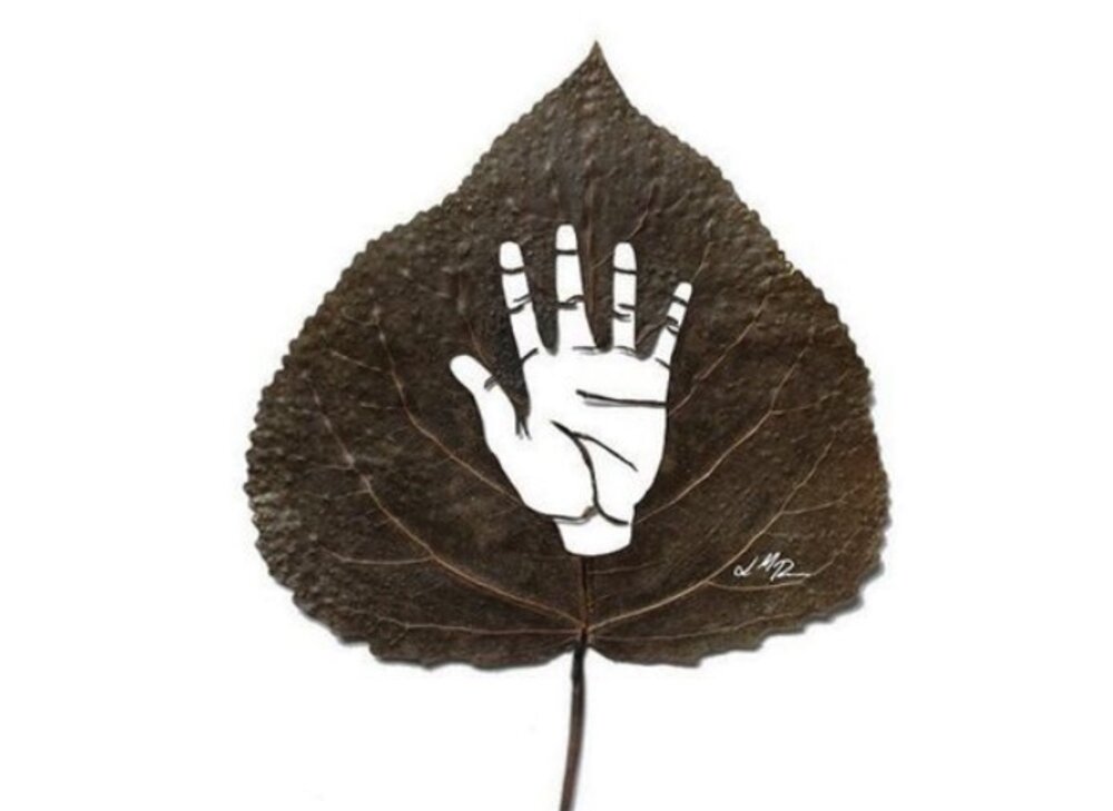 Illustration 6