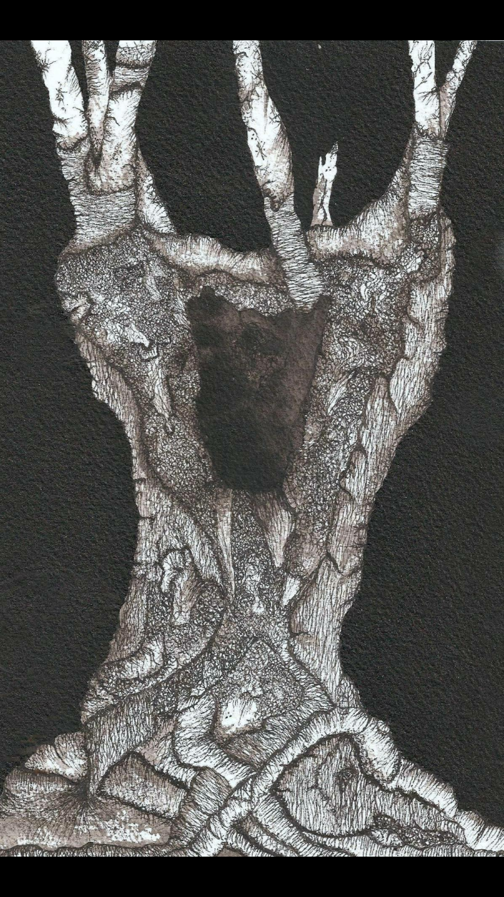 Illustration 10