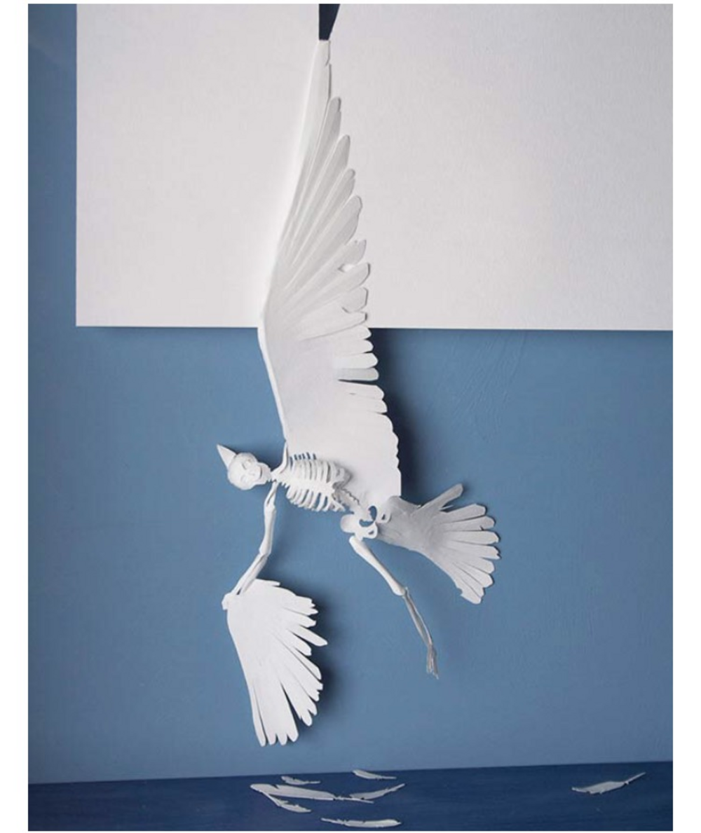 Illustration 6