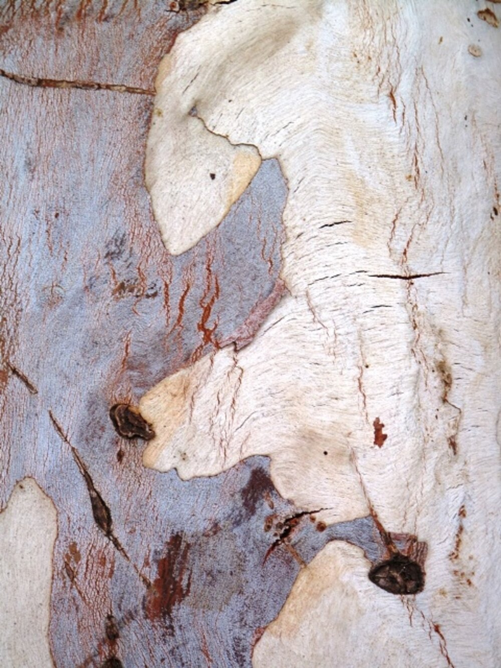 Illustration 2
