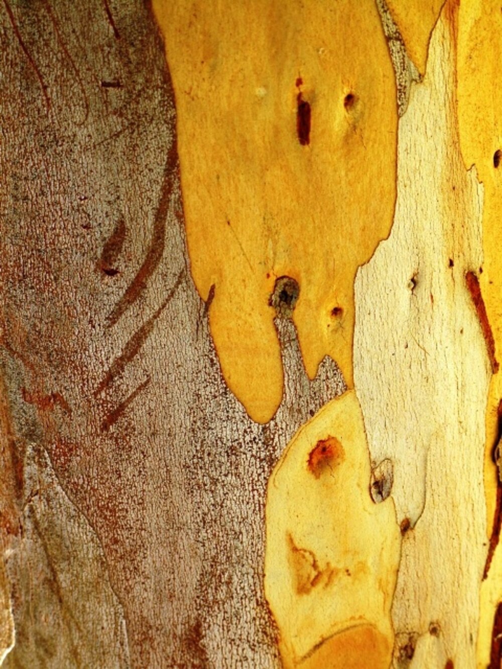 Illustration 6