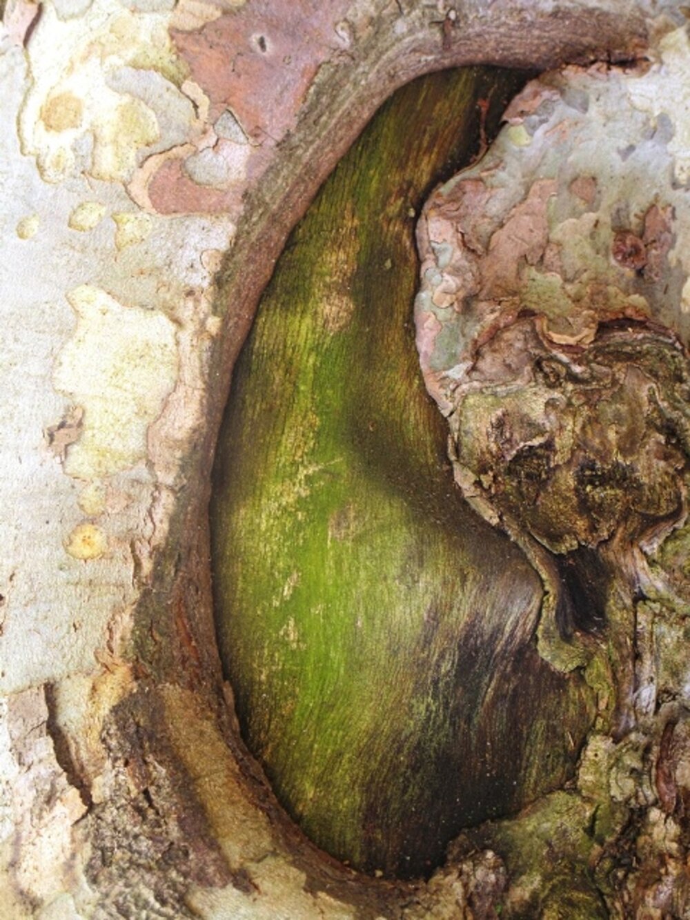 Illustration 13