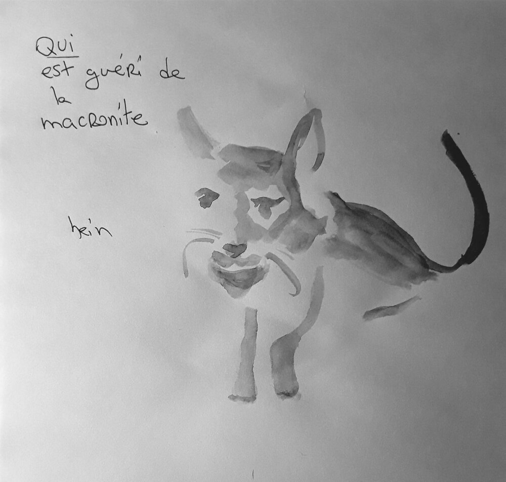 Illustration 2