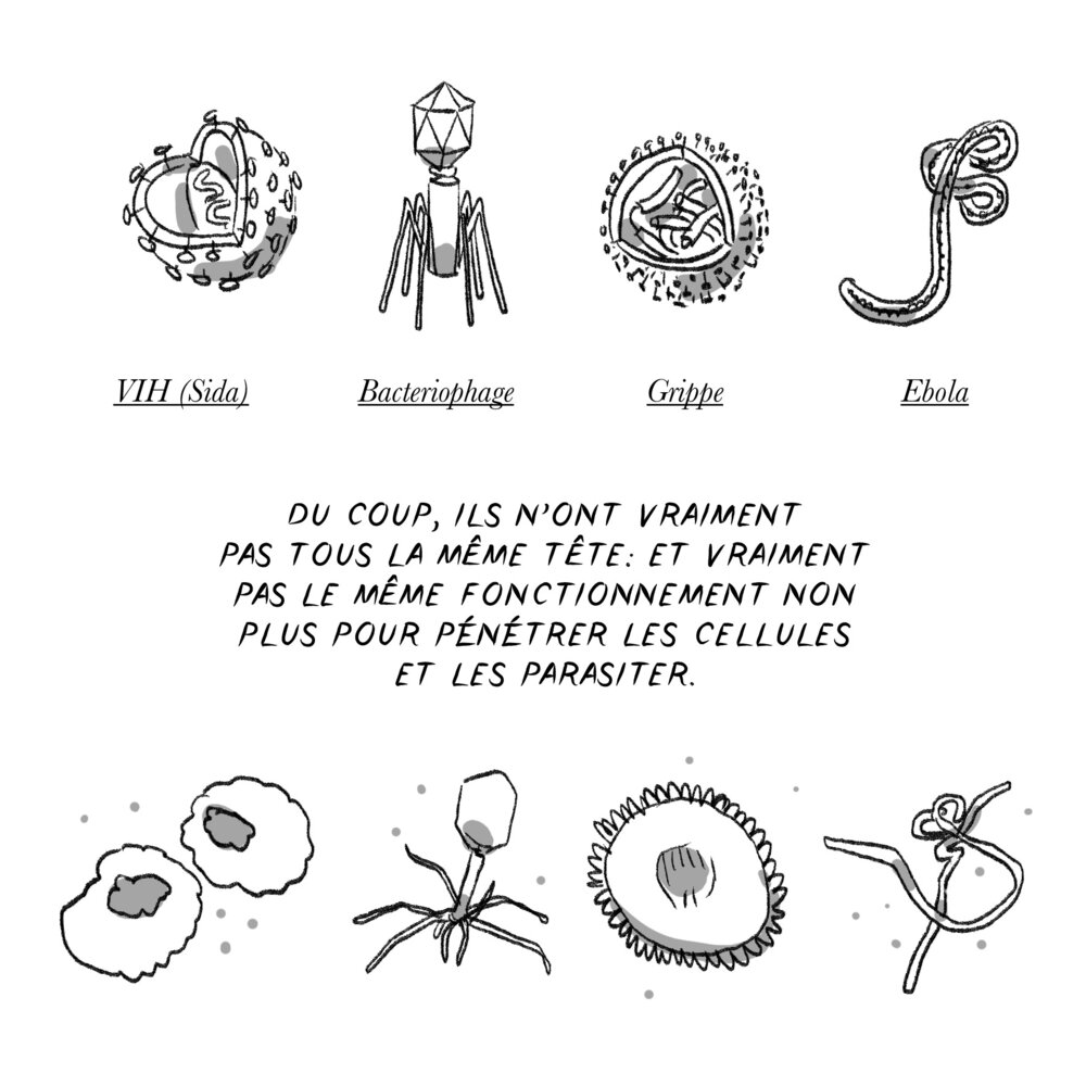 Illustration 6