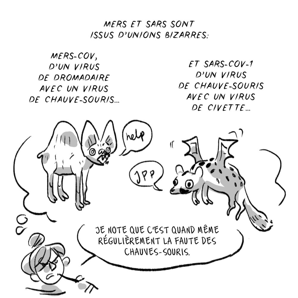 Illustration 7