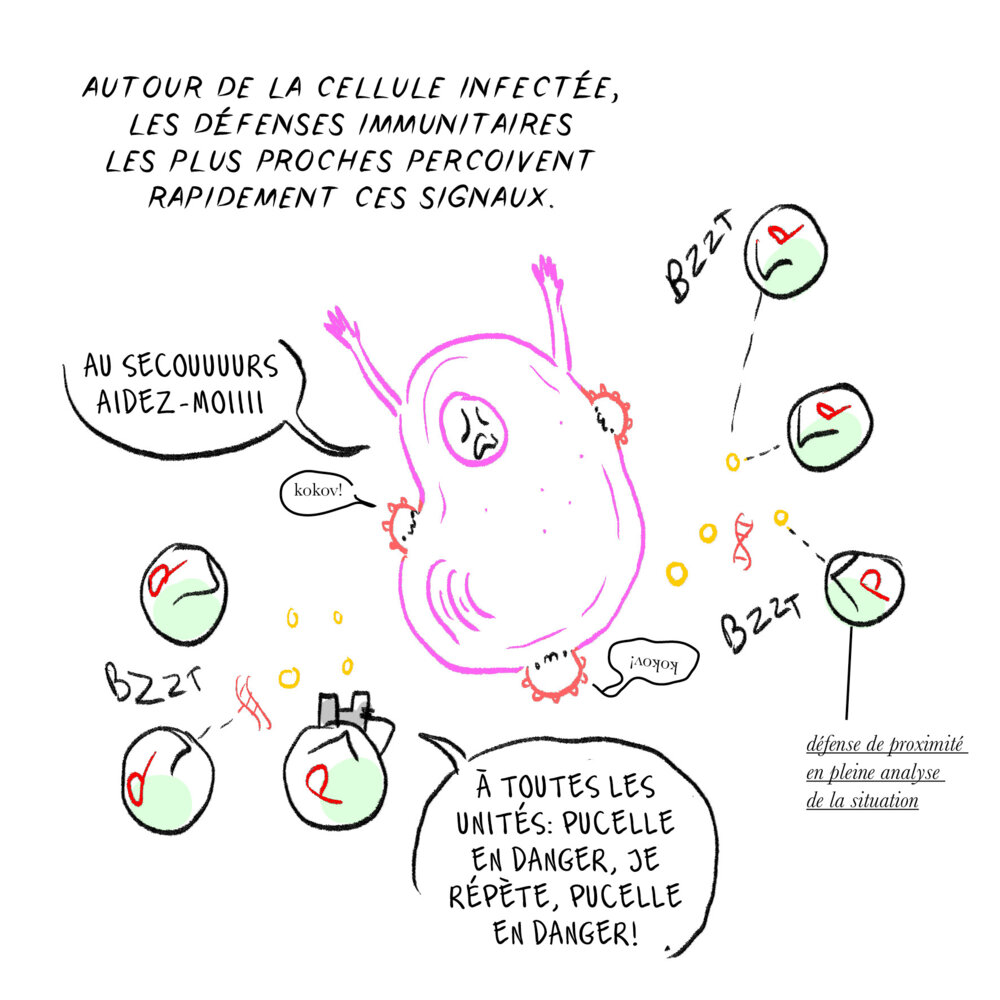 Illustration 5