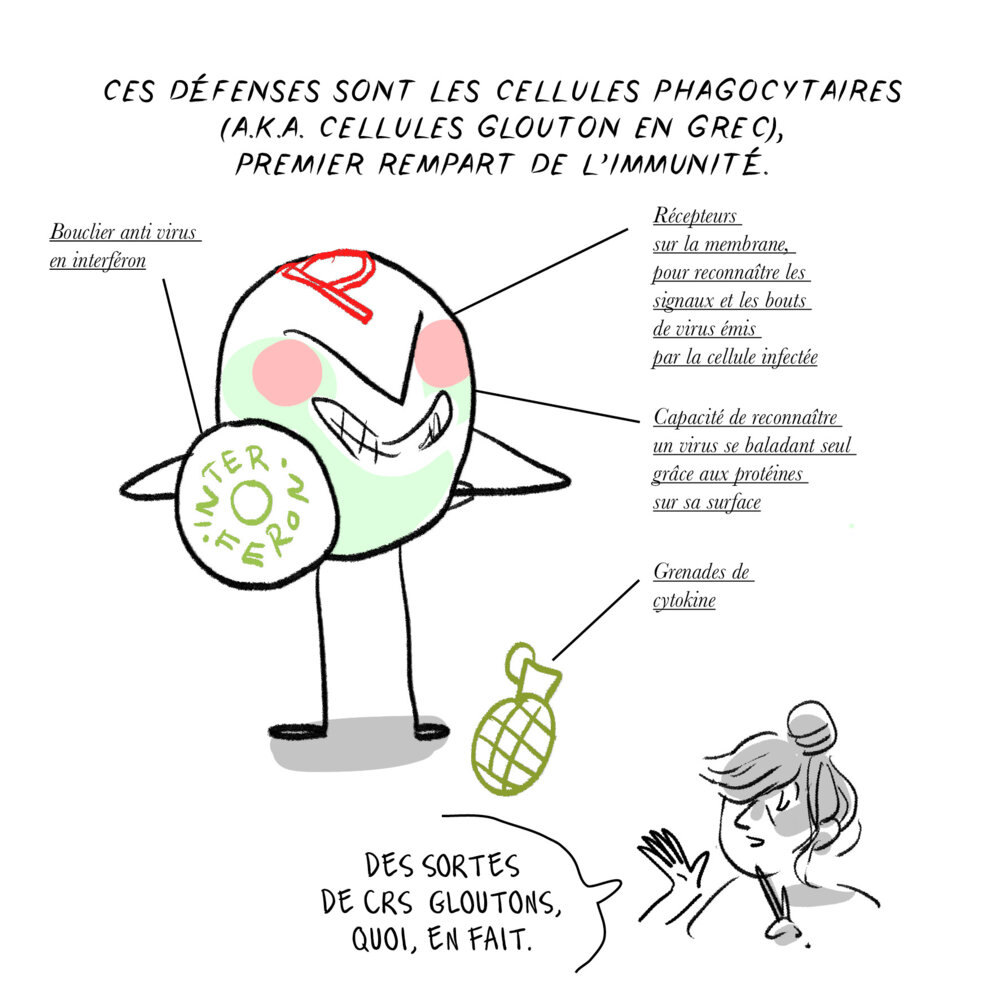 Illustration 6
