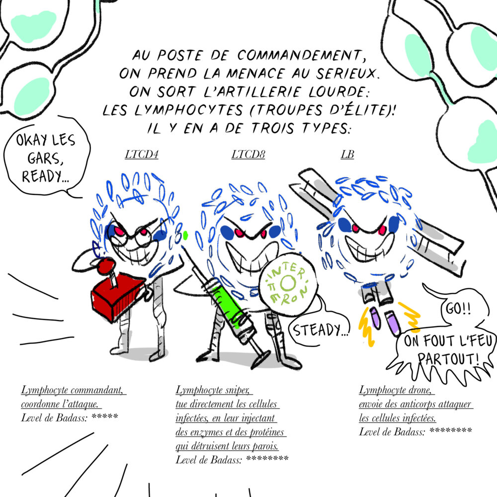 Illustration 10