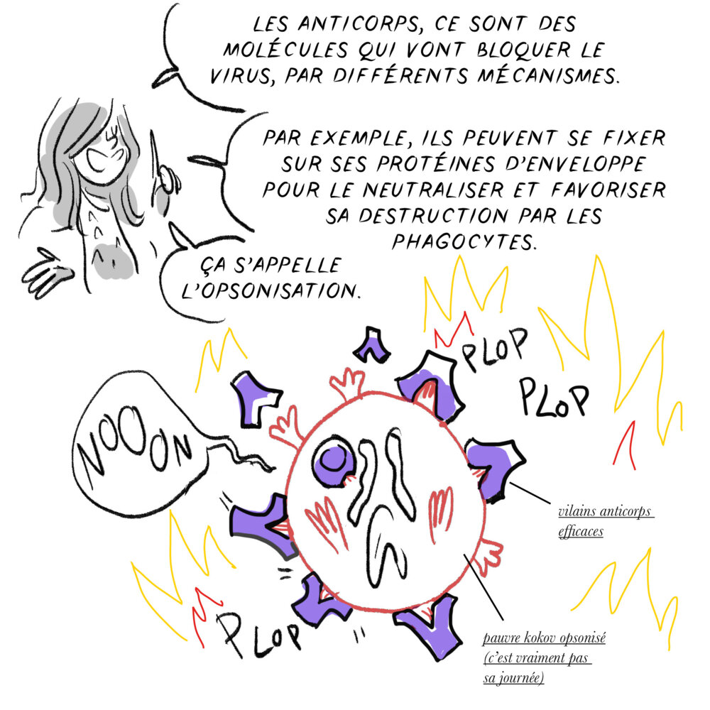 Illustration 11