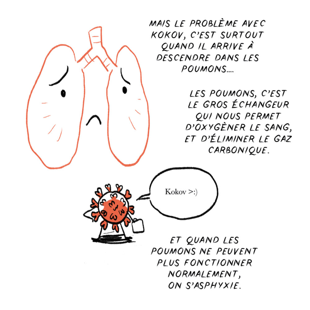 Illustration 5