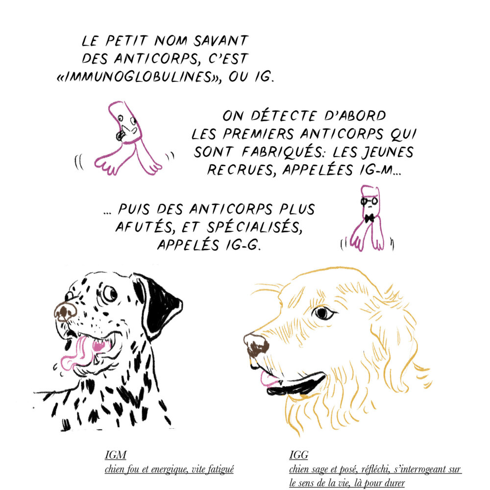 Illustration 5