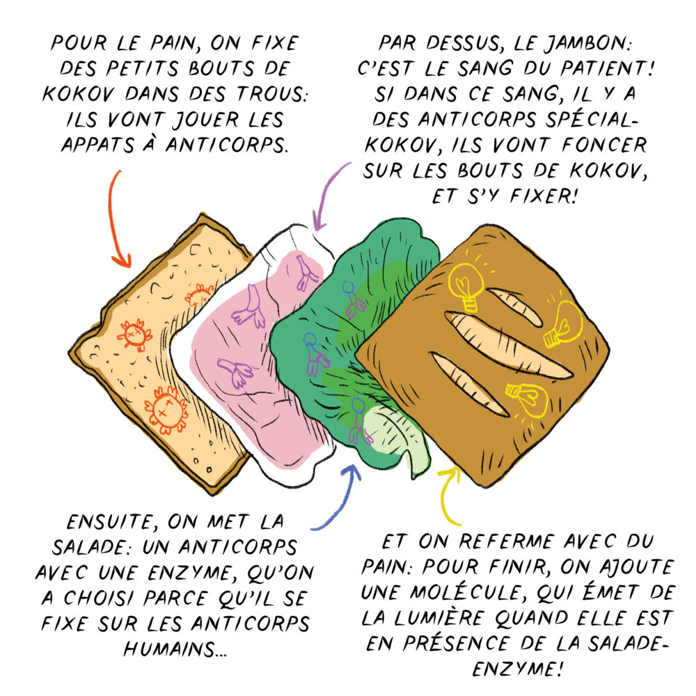 Illustration 12
