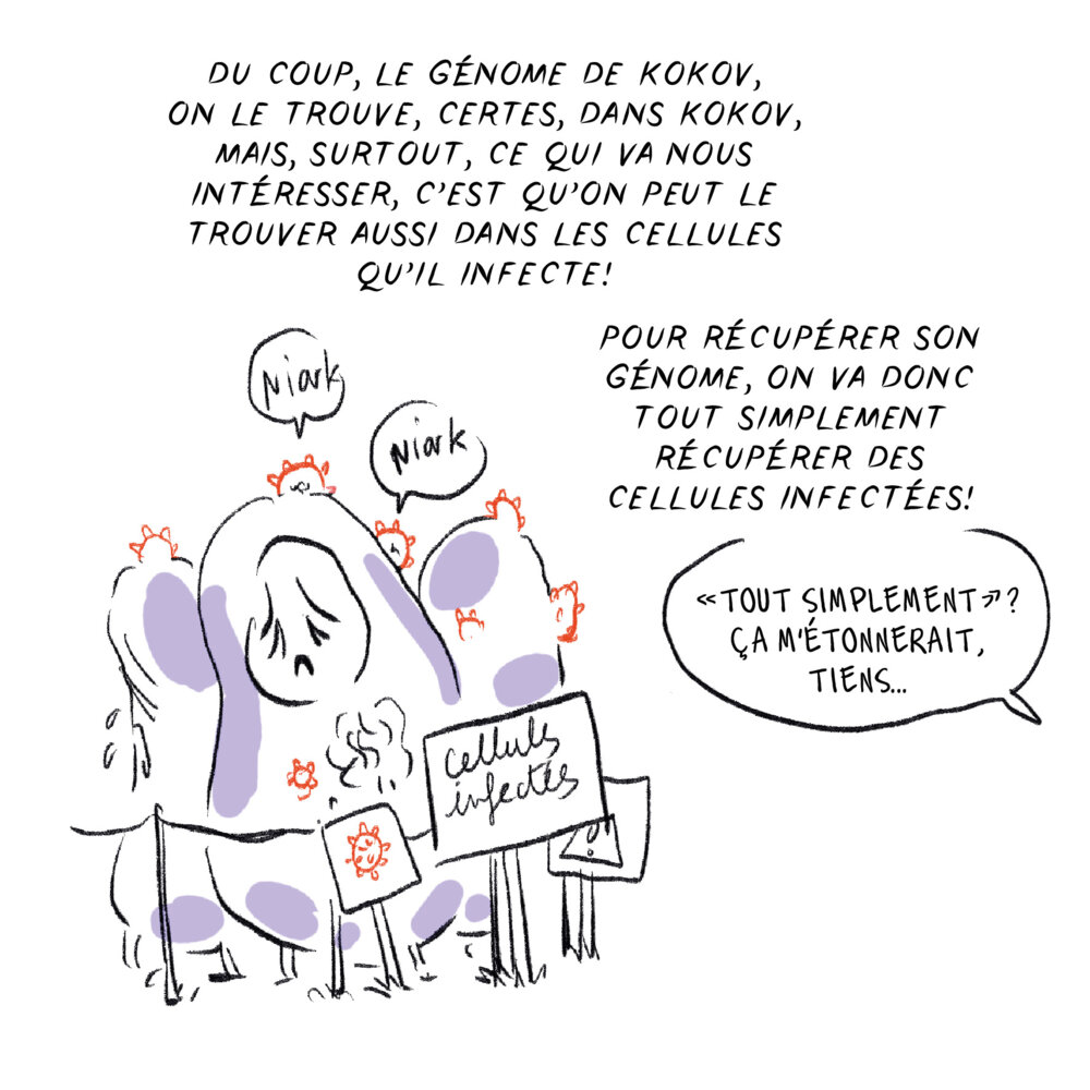 Illustration 9