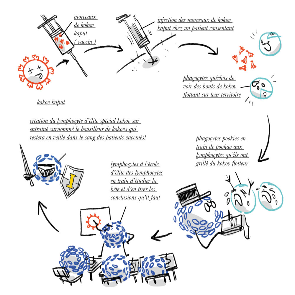 Illustration 3