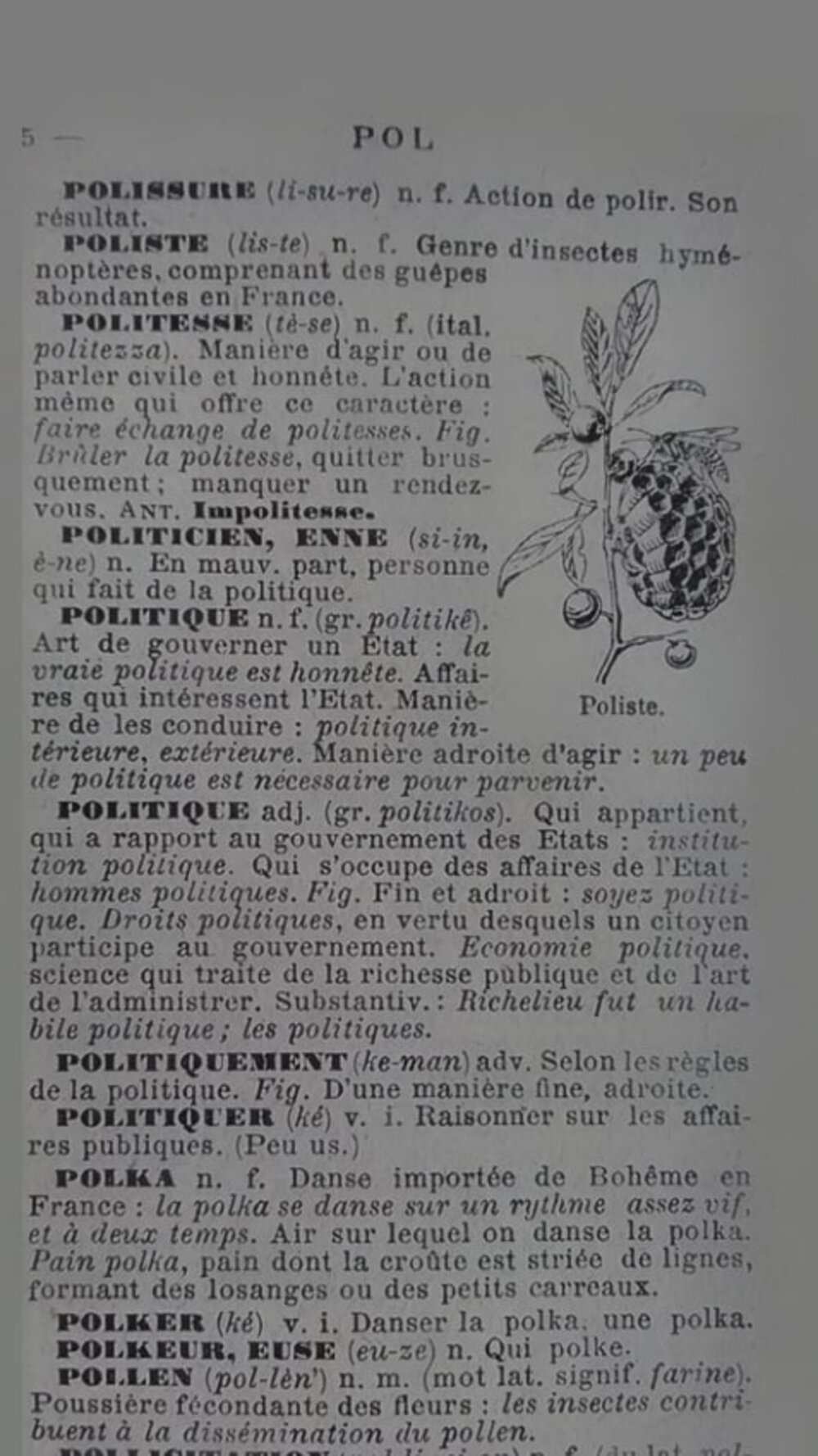 Illustration 12