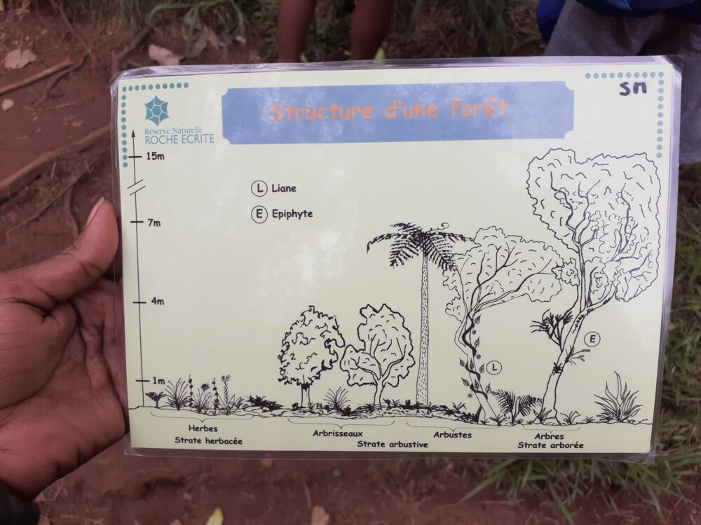 Illustration 10