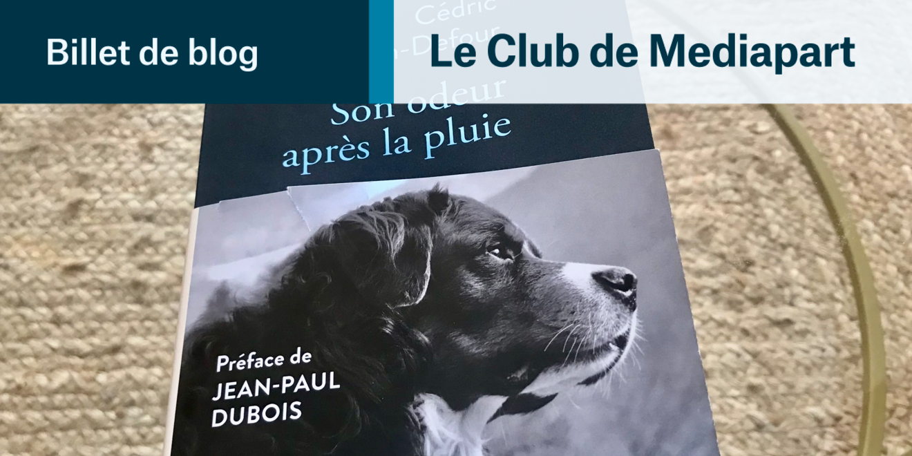Cédric Sapin-Defour : quel livre, nom d'un chien !