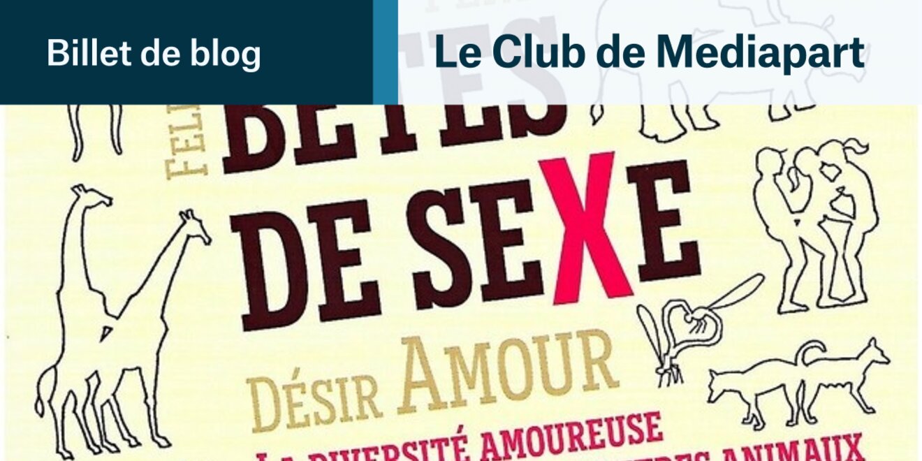 La beauté du monde dans le sexe ? | Le Club