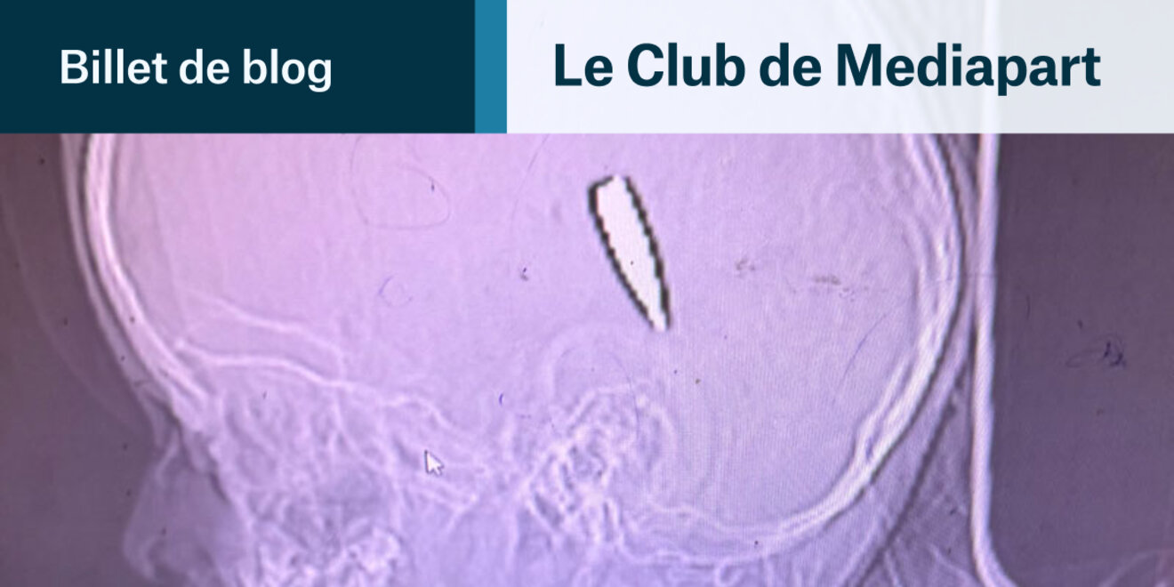 blogs.mediapart.fr