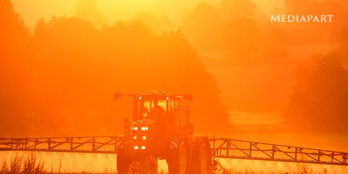 Glyphosate: les clés du débat