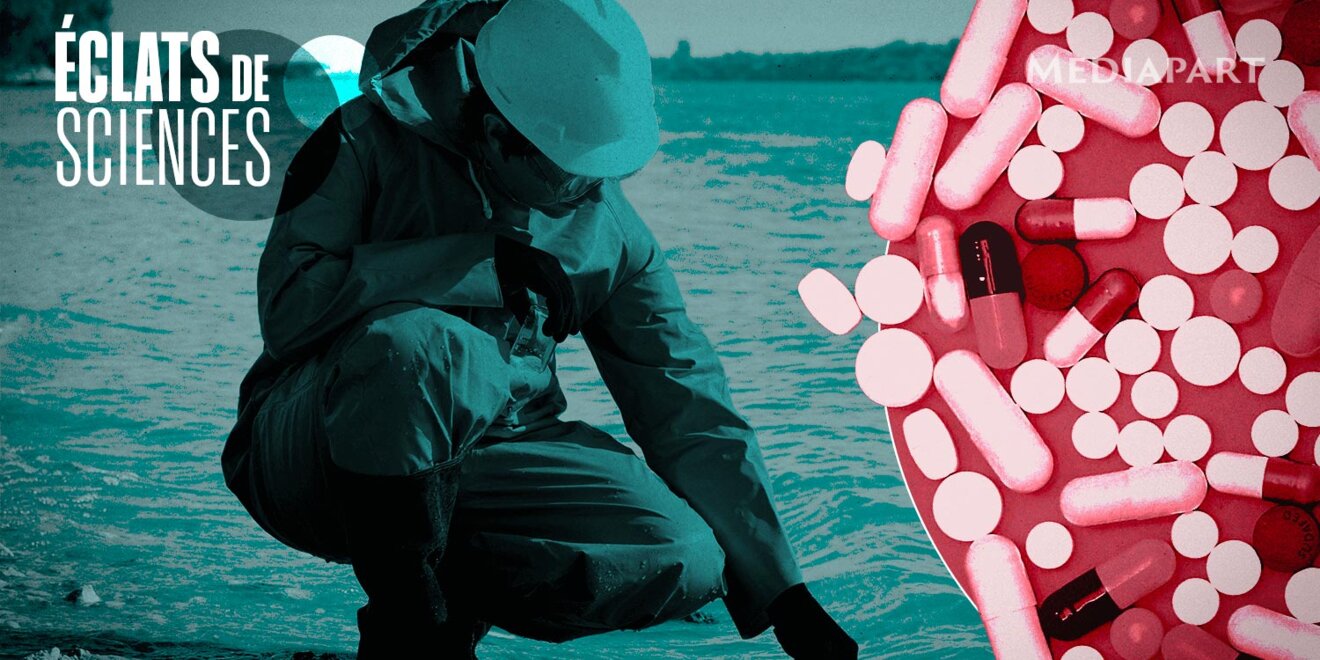 De l’effet des médicaments sur les poissons des rivières