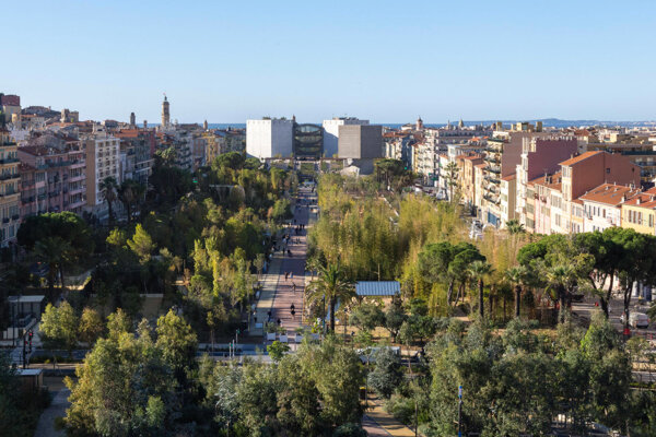 As France and its cities swelter in new heatwave, scientist warns: 'We won't survive without trees'