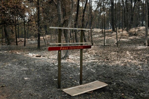 The Fontainebleau forest wildfire adds to a growing number burning through France