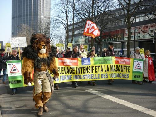 un lion dans la manif ?