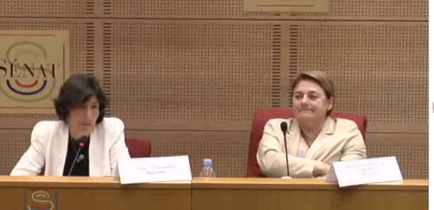 Capture d&#039;écran d&#039;une retransmission au Sénat.